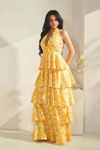 Load image into Gallery viewer, Haley Halter Neck Tiered Maxi Dress