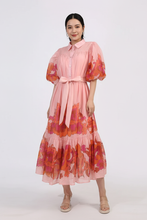 Load image into Gallery viewer, Pink floral dress full length with face and feet